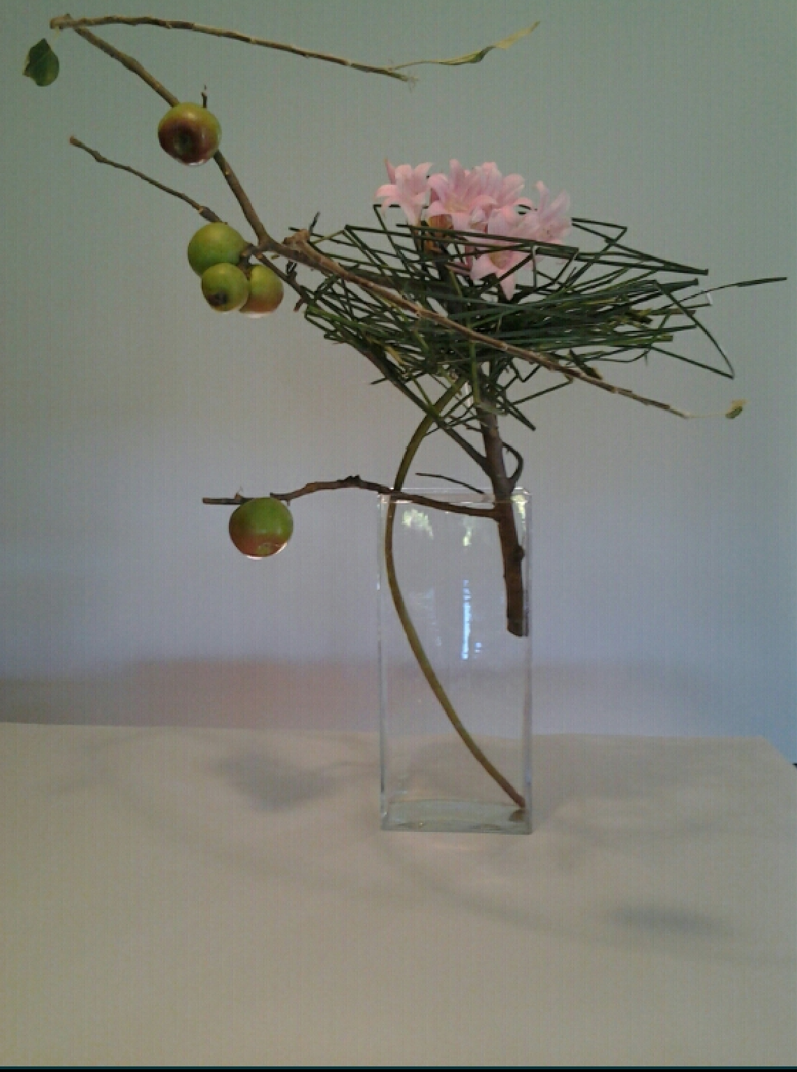 Ikebana International San Francisco Bay Area Chapter 31 Sogetsu Archives Ikebana